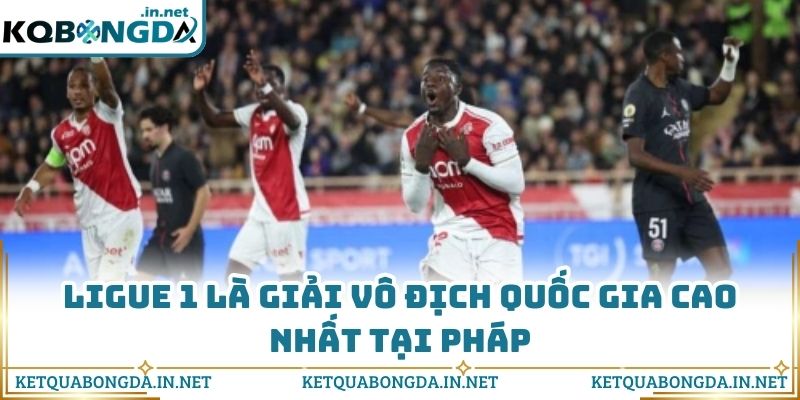 Ligue 1 là giải vô địch quốc gia cao nhất tại Pháp