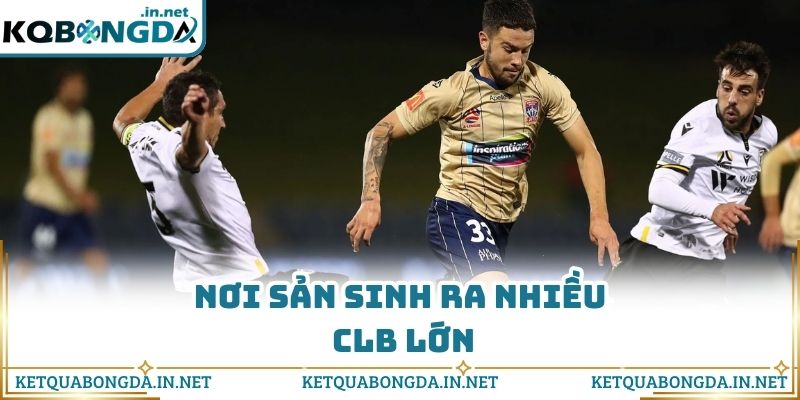 Nơi sản sinh ra nhiều CLB lớn